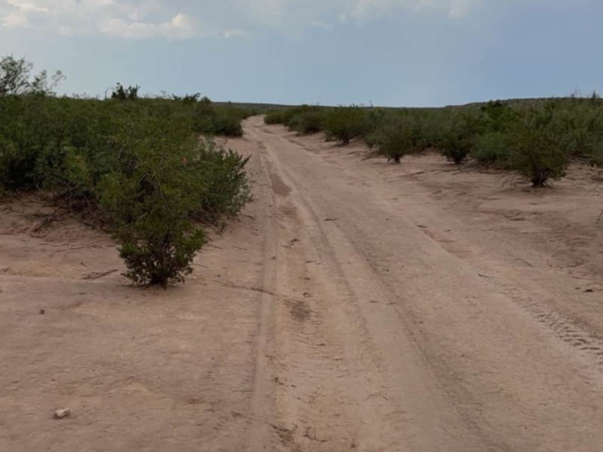 Pecos River Cruise photo 4