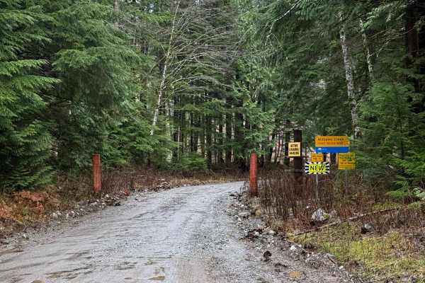 Williams Creek Trail