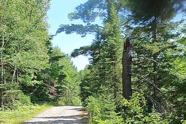 North Nestoria Road