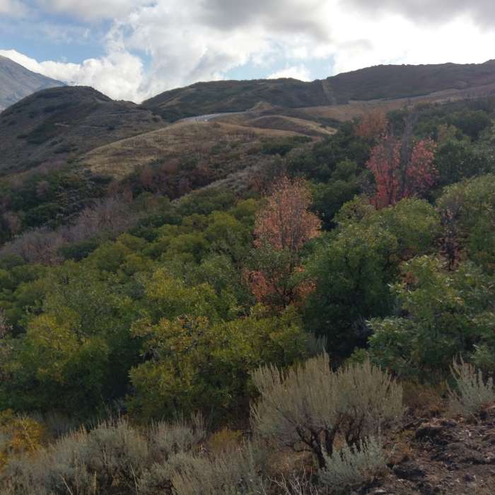 Near South Mountain Overlook Trail