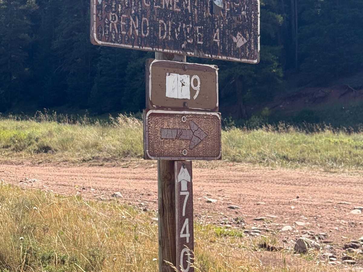 Cement Creek Road - FS 740 photo 2