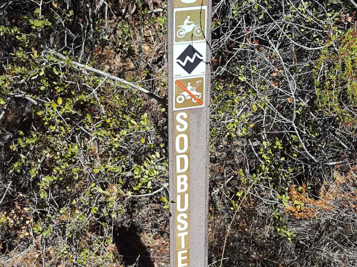 Sodbuster - Trail 9 trail photo