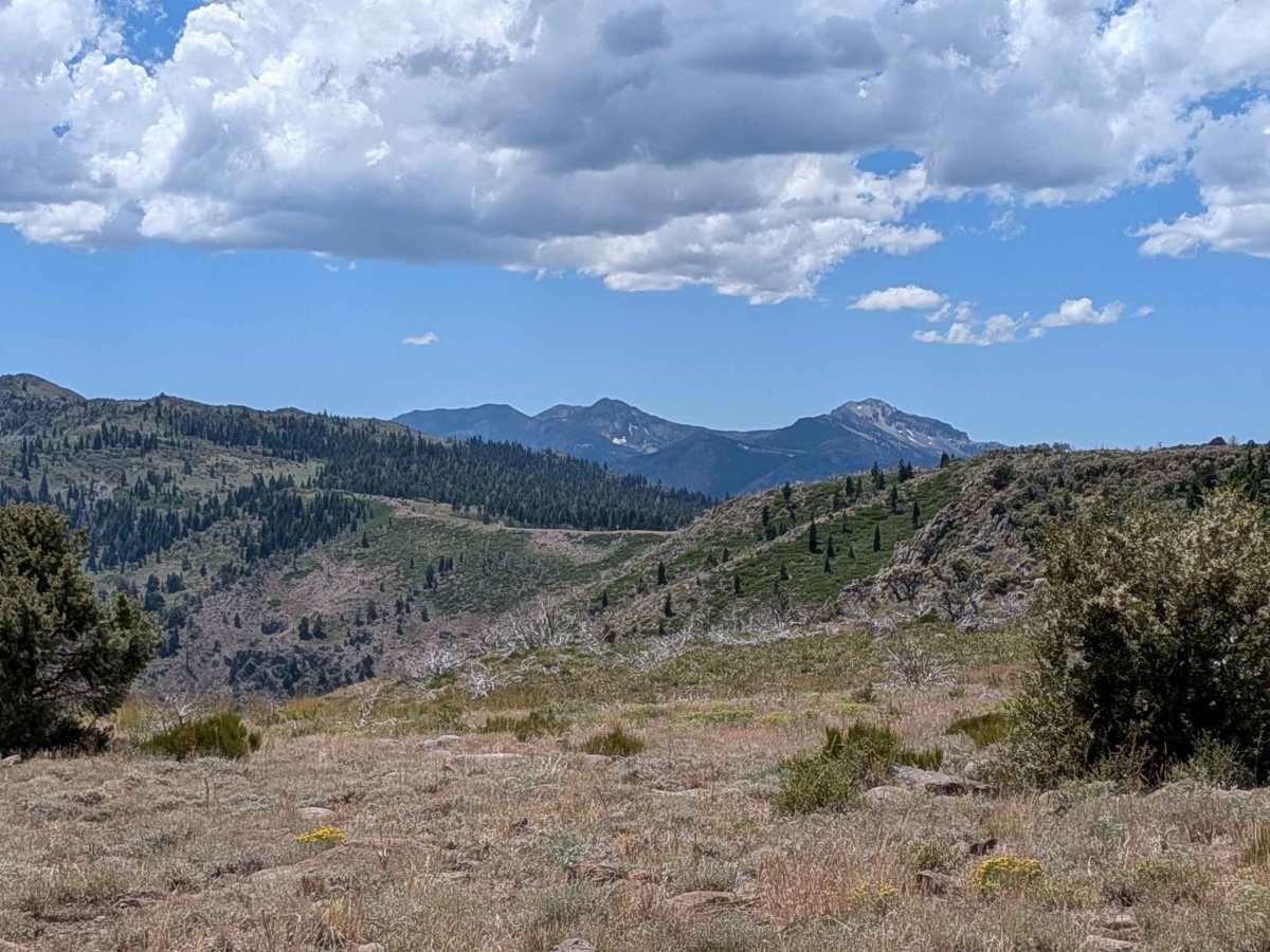 Two Road Road - FS 31358D trail photo