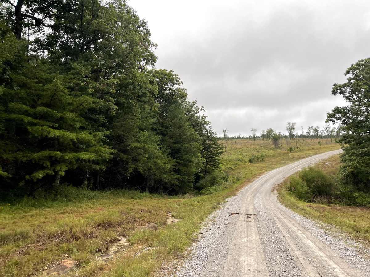Otter Creek Road  photo 3