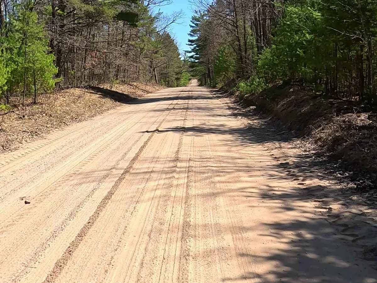 Hughes Lake Road - FS 4328 photo 5