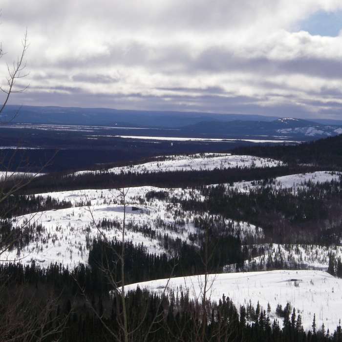 Near Snowshoe Trail D6 - Upper View