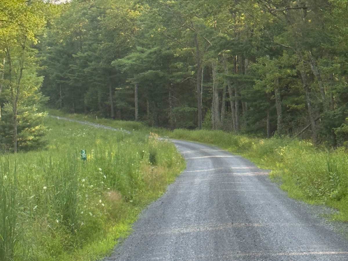 Parker Road photo 4