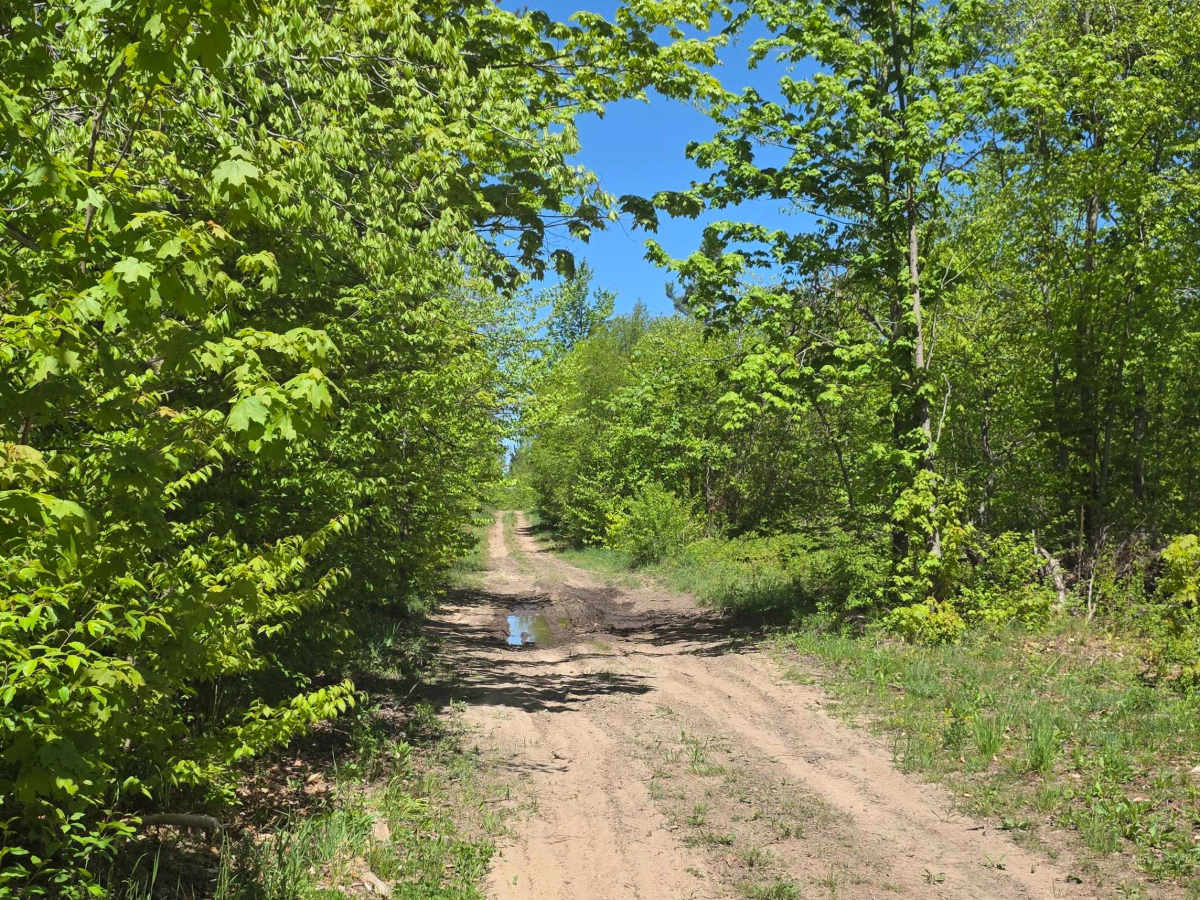 Wilber Hill photo 3
