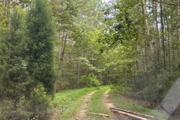 Fish Pond Trail