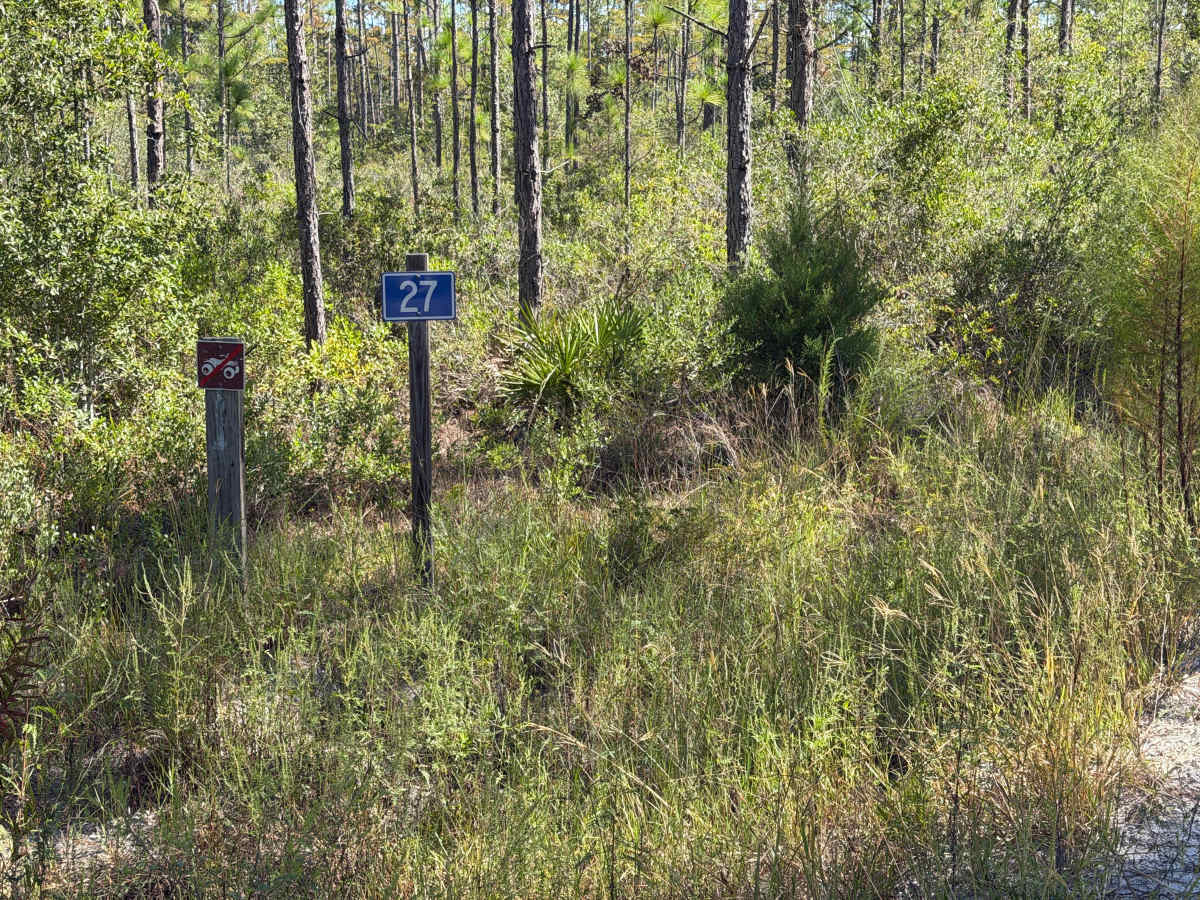 FR 27 trail photo