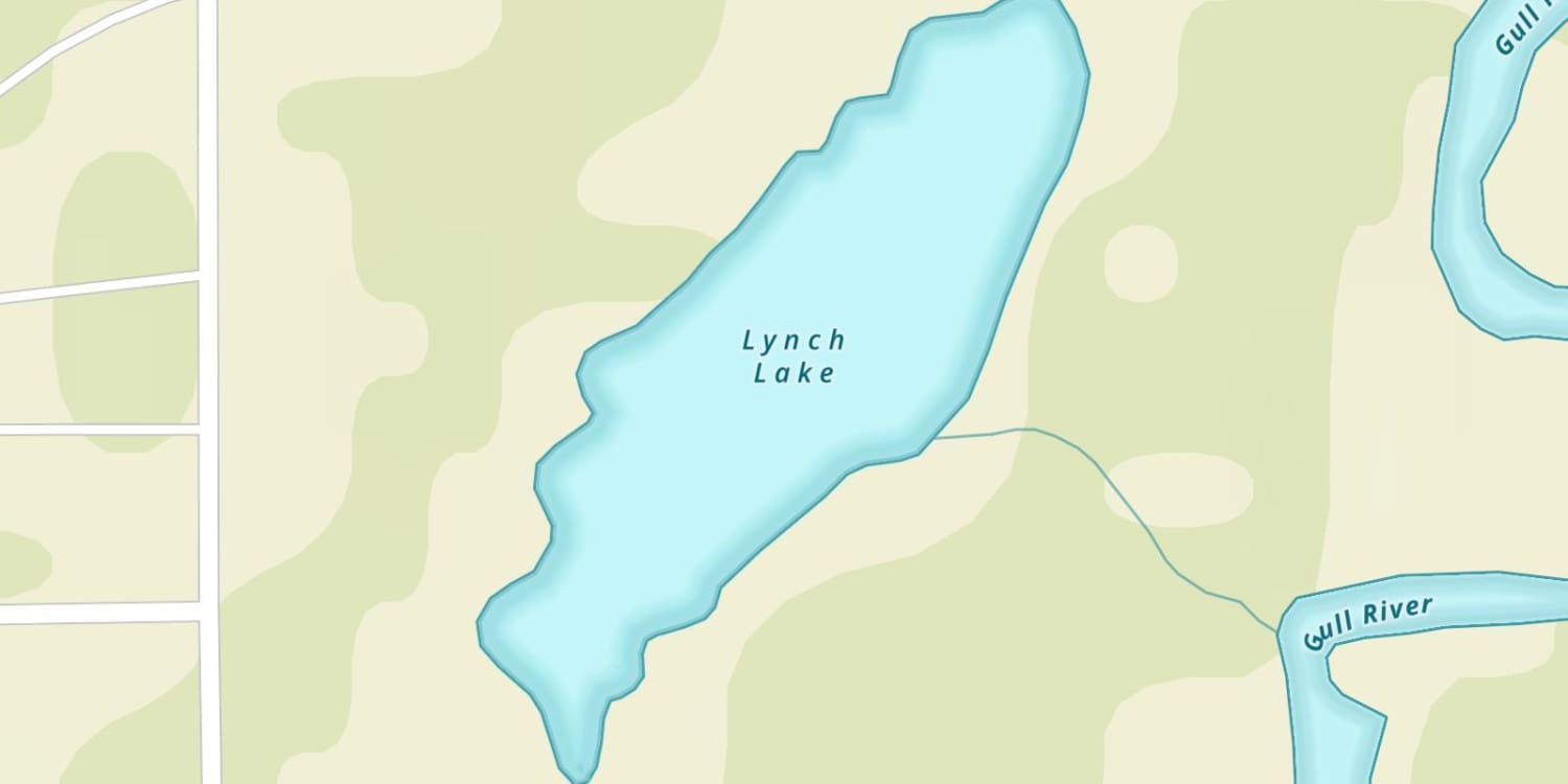 Lynch Lake