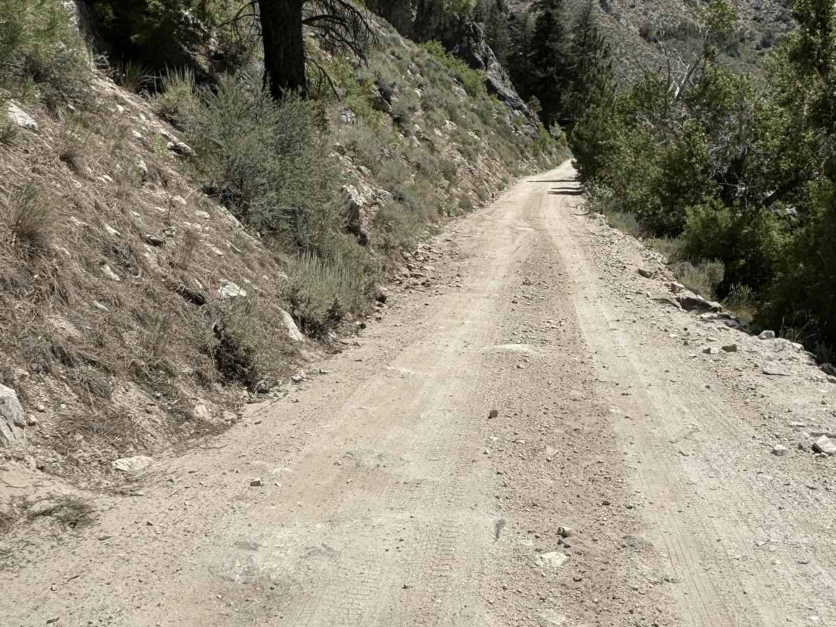 South Fork River Road photo 6