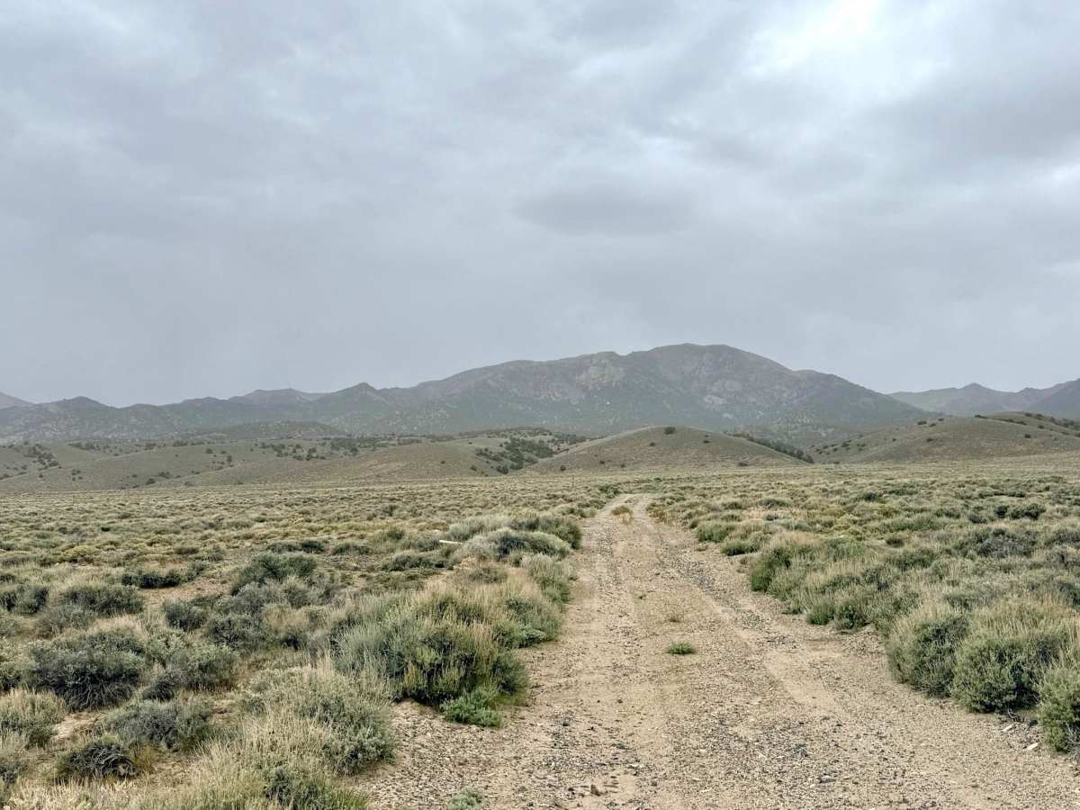 Lowboy Mine - FS 43251 photo 6
