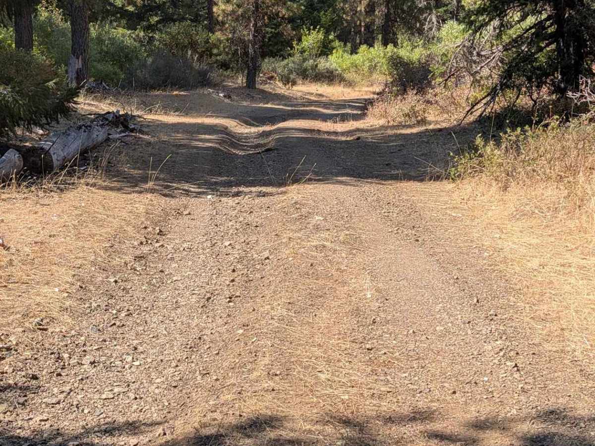 Friend Ranch Road - FS 1N40  photo 3