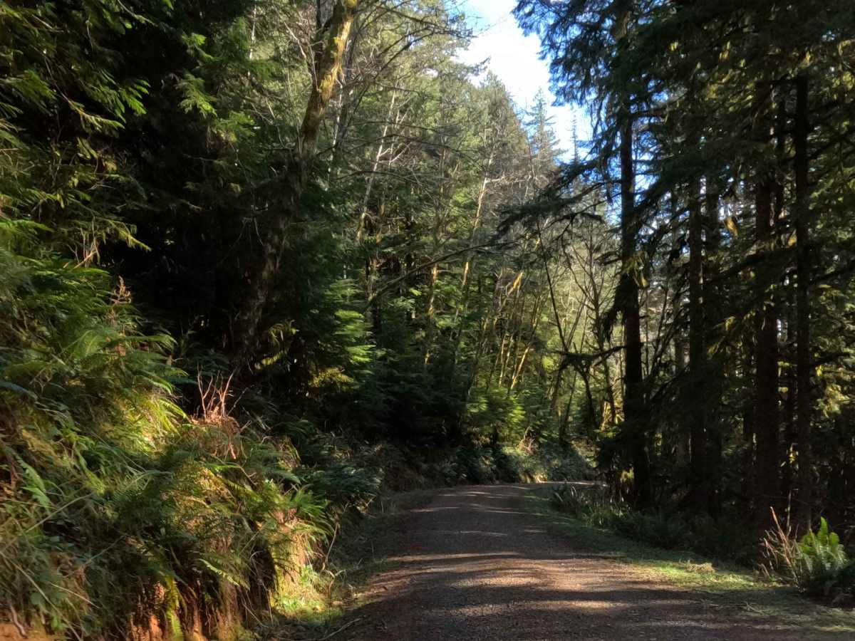 Farmer Creek  photo 5