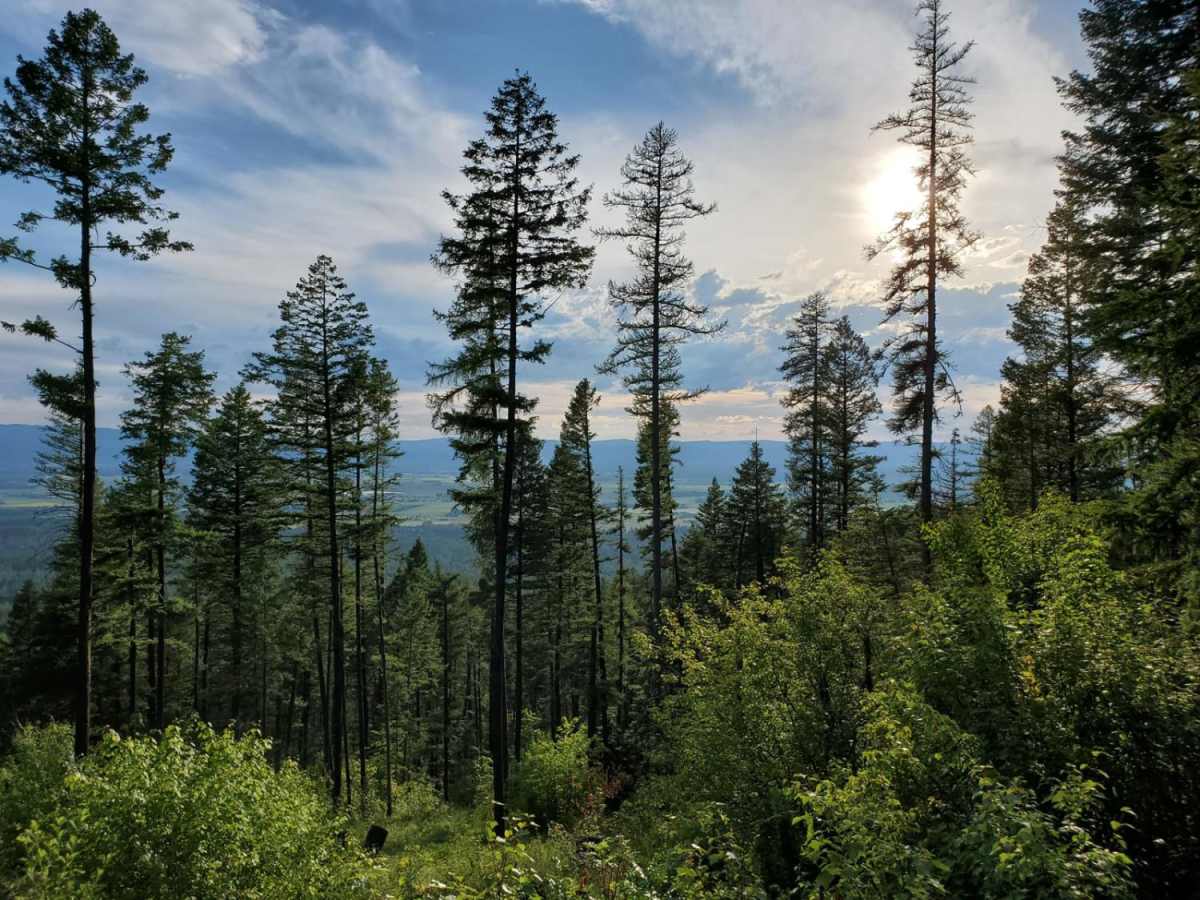 Trail Creek photo 6