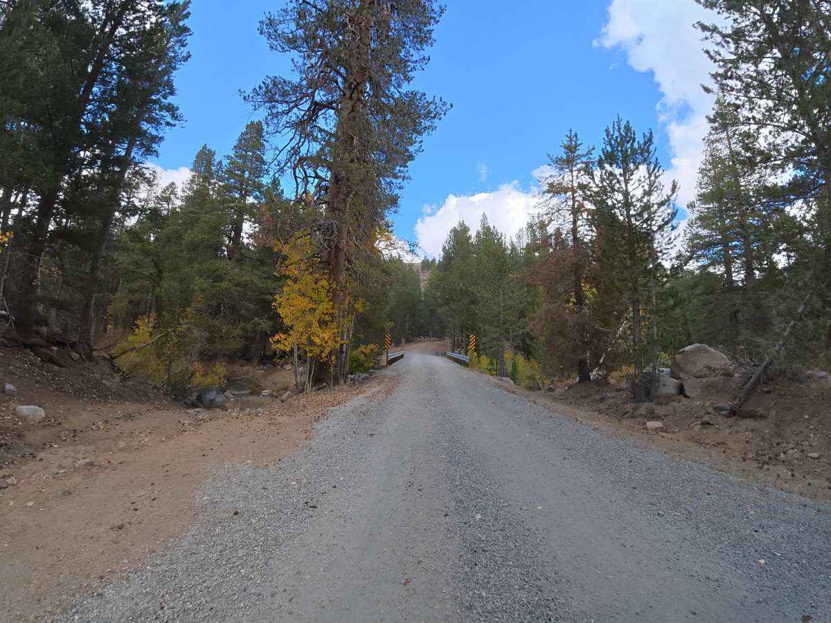 Wolf Creek photo 3