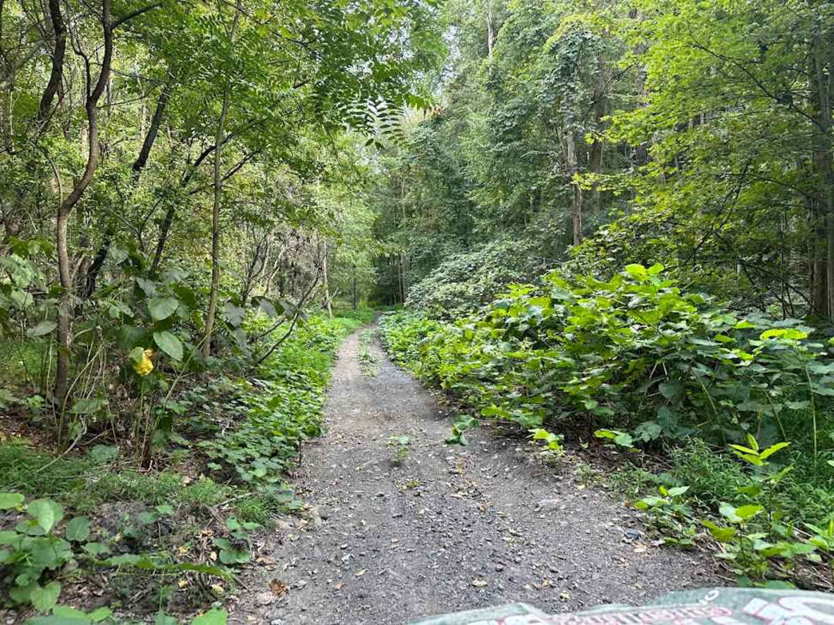ATV Trail 81 trail photo