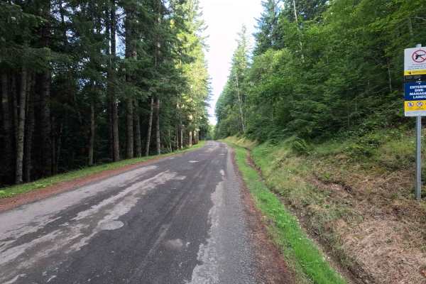 Little River Road