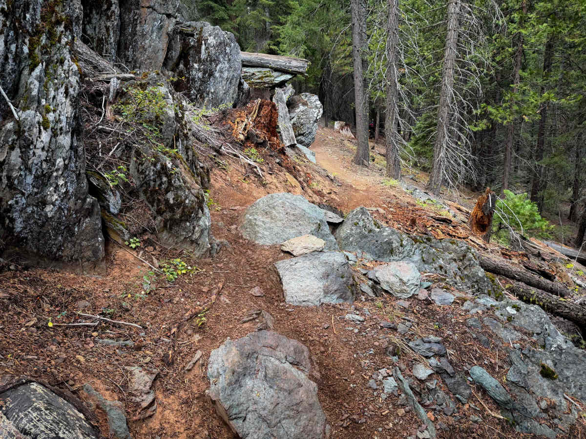 Taylor Creek  photo 2