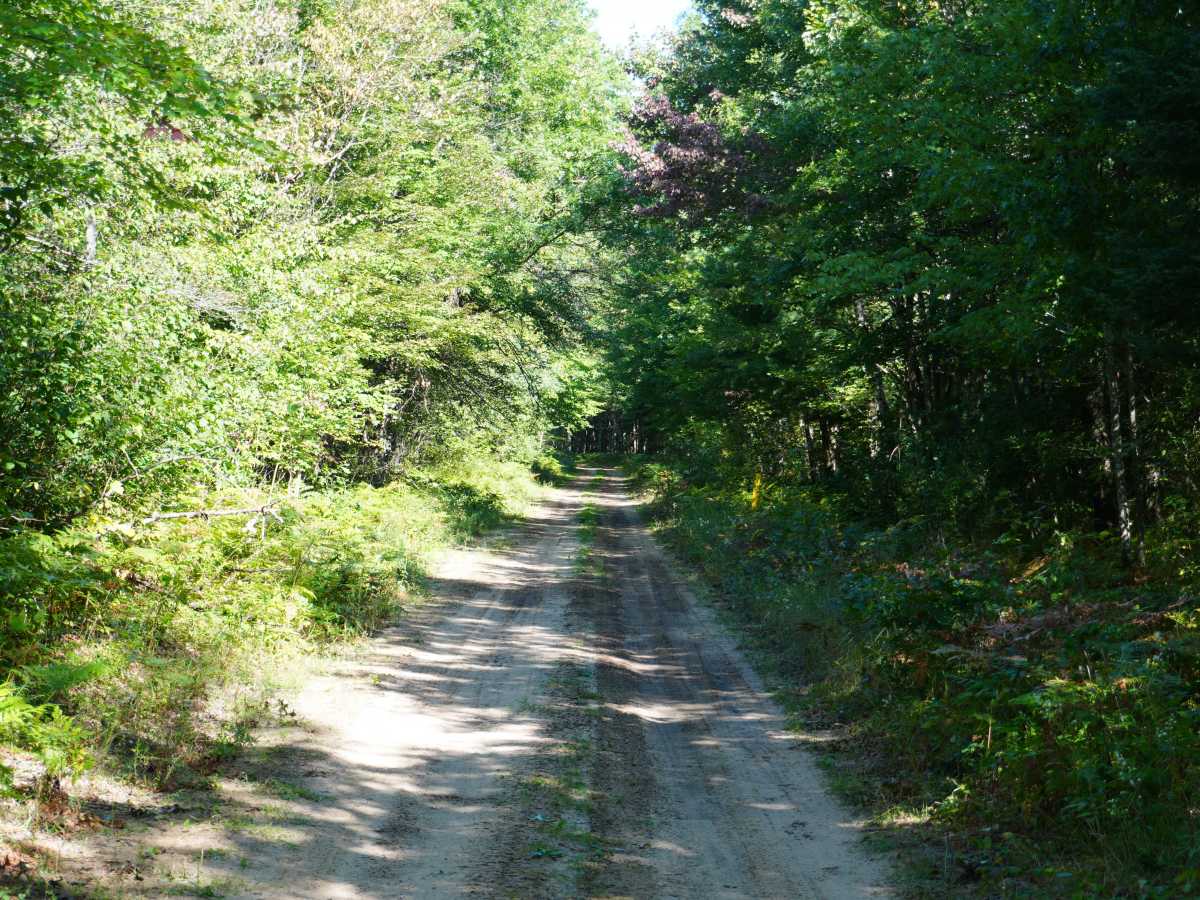 Tillman Road photo 4
