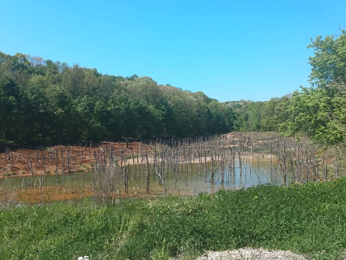 Township Highway NR1  photo 2