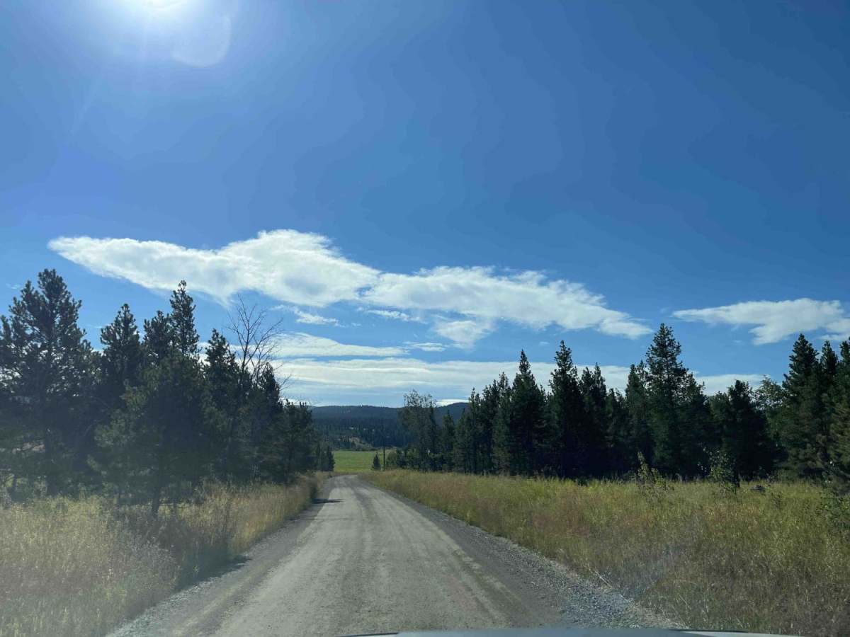 Douglas Lake Road photo 6