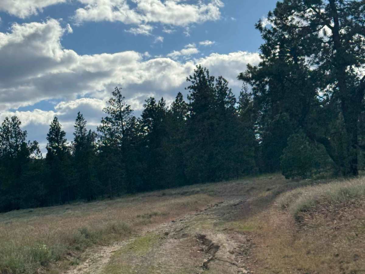 Mill Canyon Road photo 5