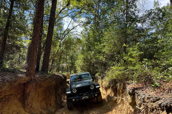 Trail 19 - Citrus WMA
