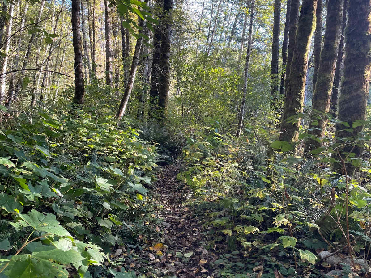Entrance Trail photo 3