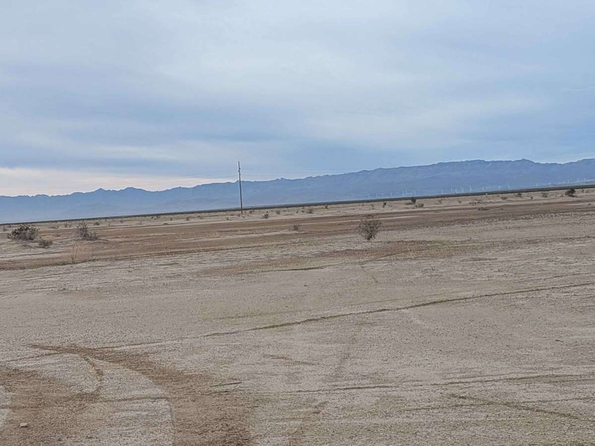 BLM 009 photo 6