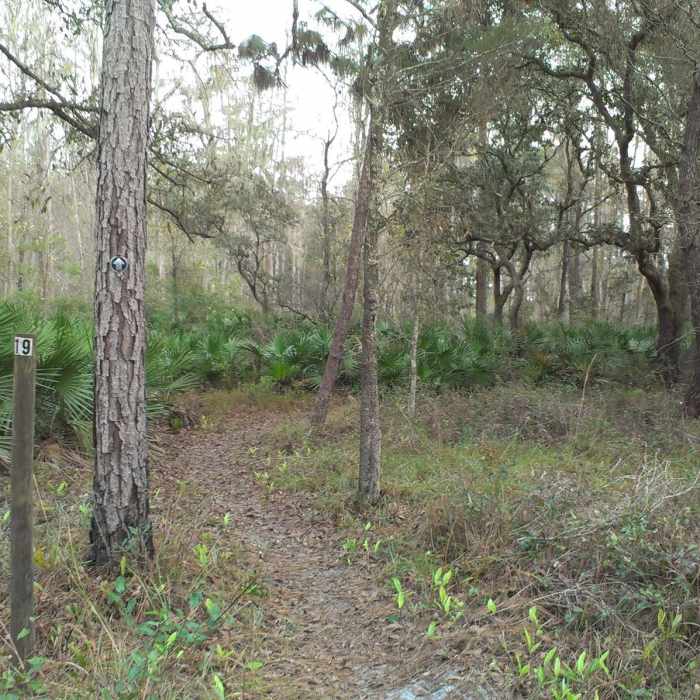 Typical trail marker. Near Starkey S.W.A.M.P. Loop