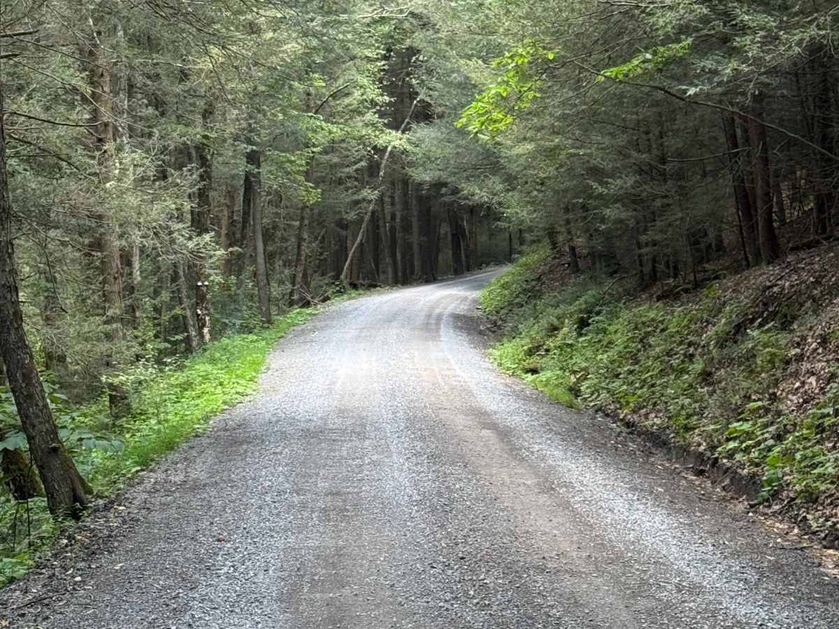 Lower Pine Bottom Road photo 6