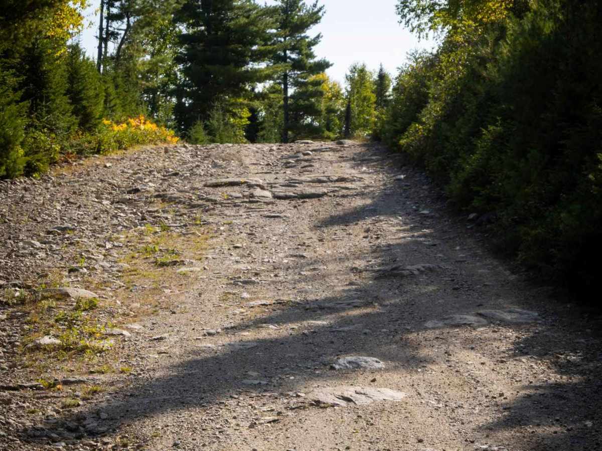 Whitebirch Road A - Trail 22 trail photo