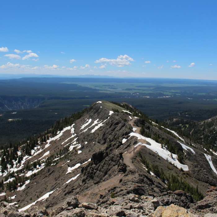 The Mount Washburn Trail from the top of Mount Washburn. Near Mount Washburn