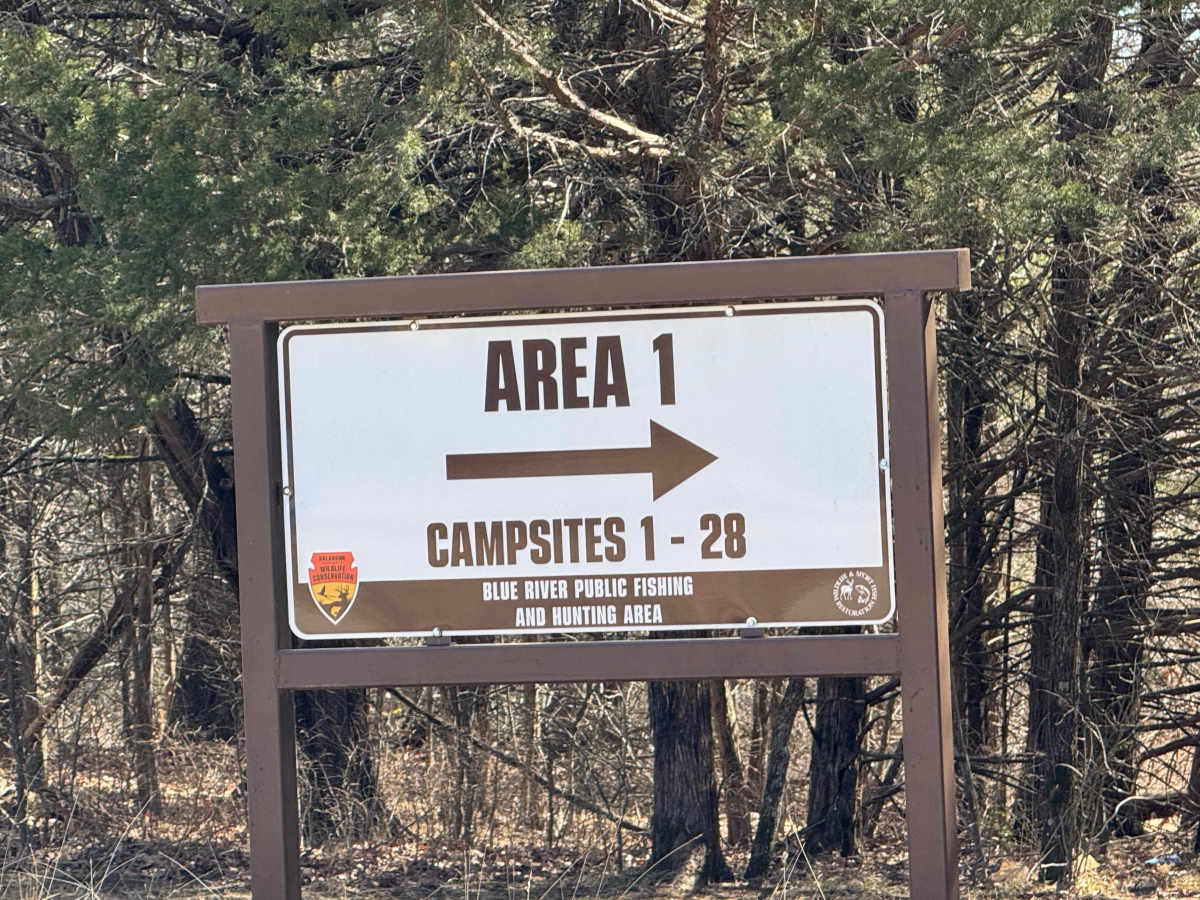 Area 1 Trail trail photo