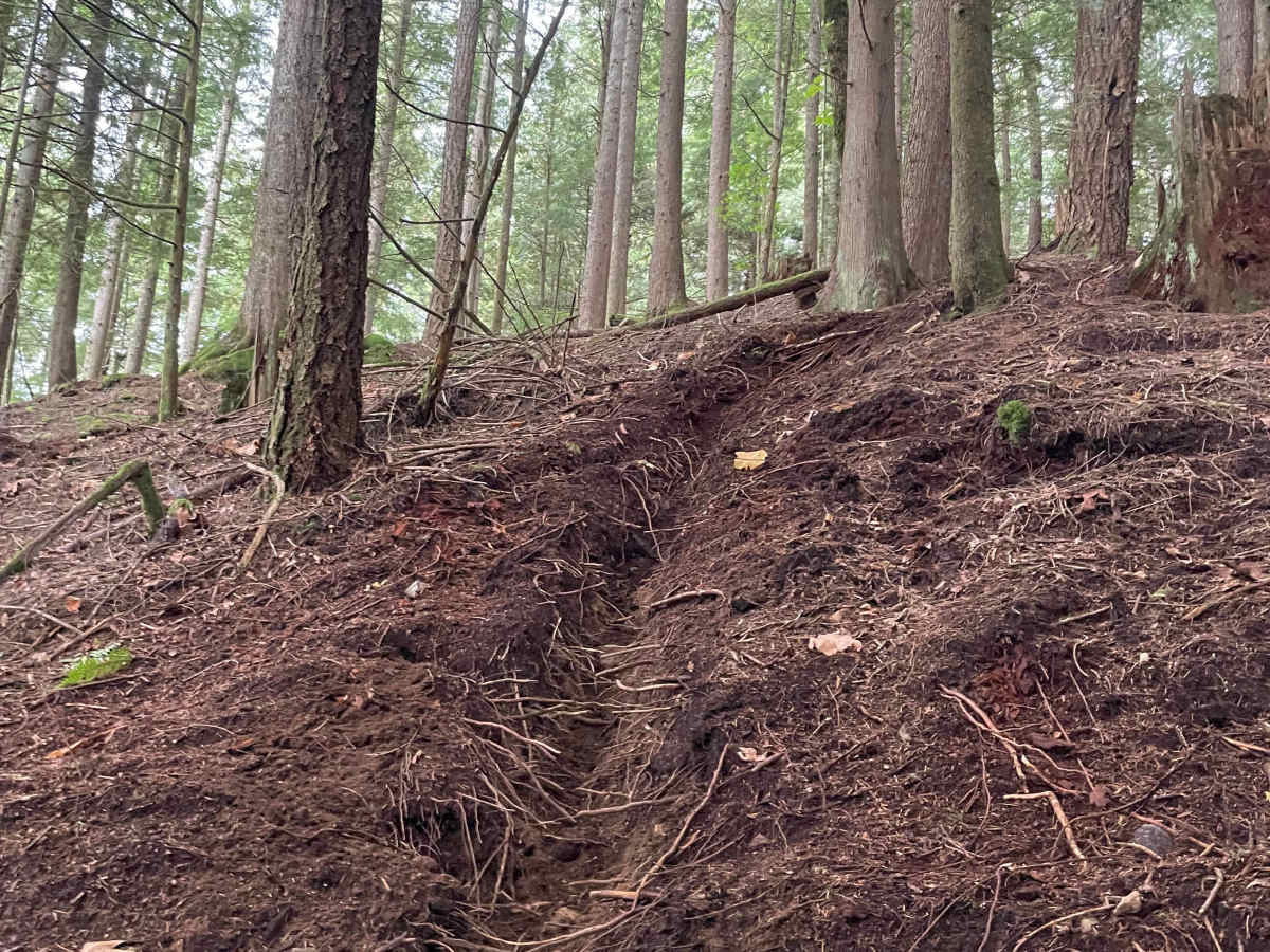 Finger 3 trail photo
