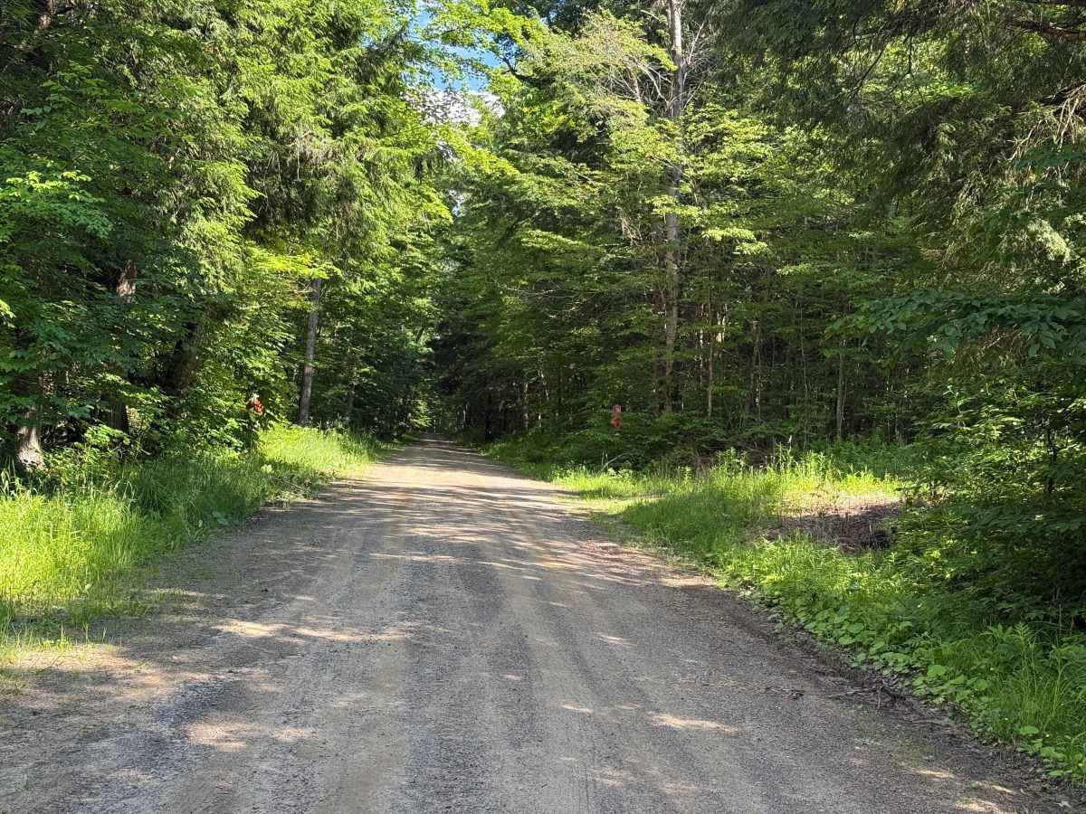 Meade Run - FS 150 trail photo