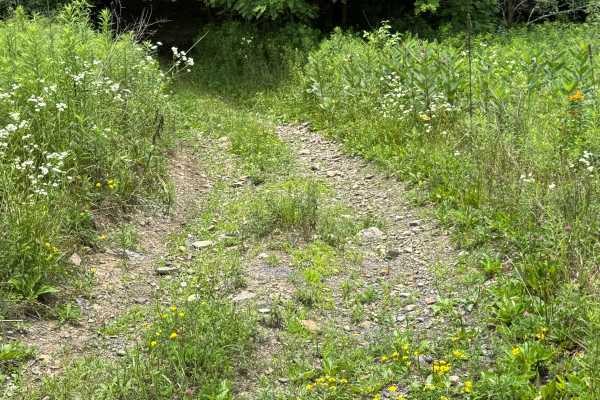 Trail 40