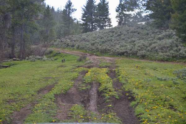 Pothole - FS 10256