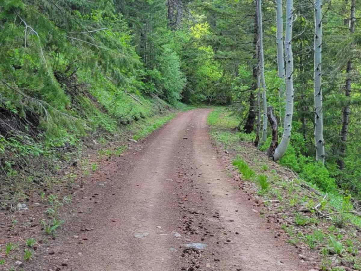 Sheep Canyon 2 photo 5