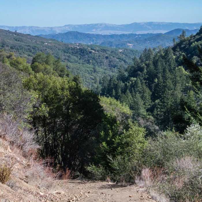 Near Knobcone Point + Black Rock Falls Hike via Contour Trail