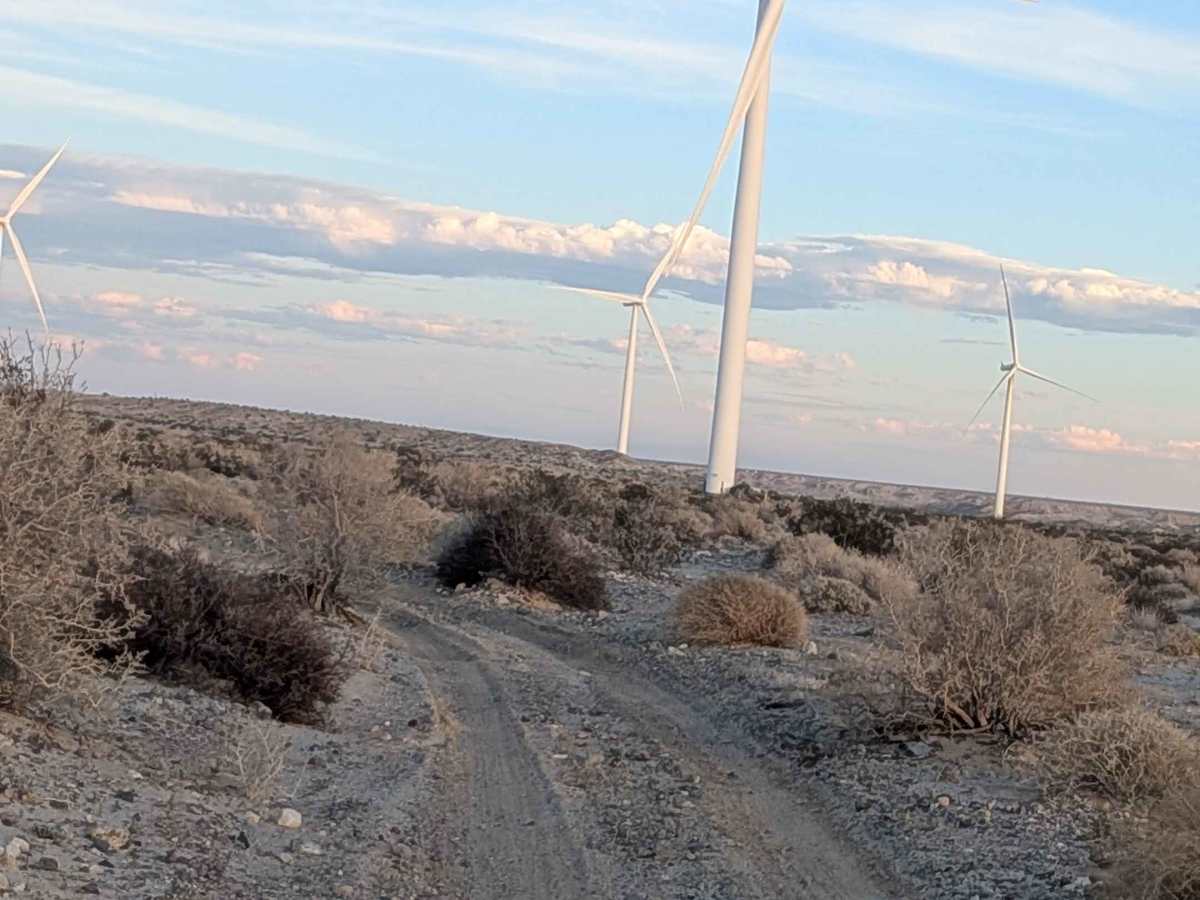 BLM 116 photo 2