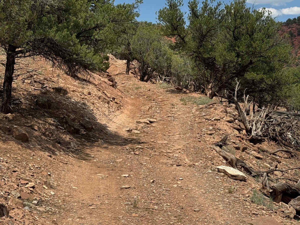 BLM 8457A photo 2