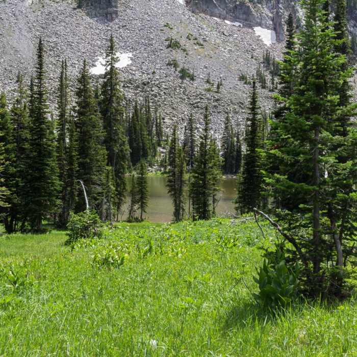Near Glacier Lake and Conical Peak