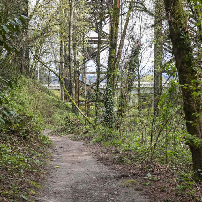 Near George Himes Park Trail