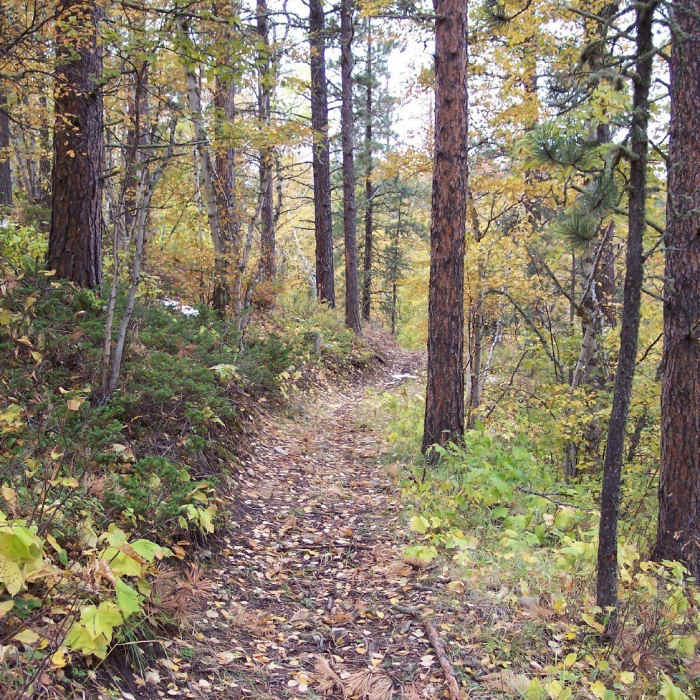 Near Trail C - Upper Ogden Trail