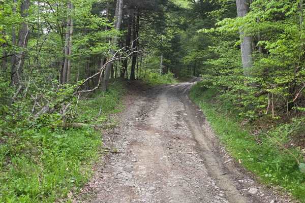 Steve Russell Hill Road