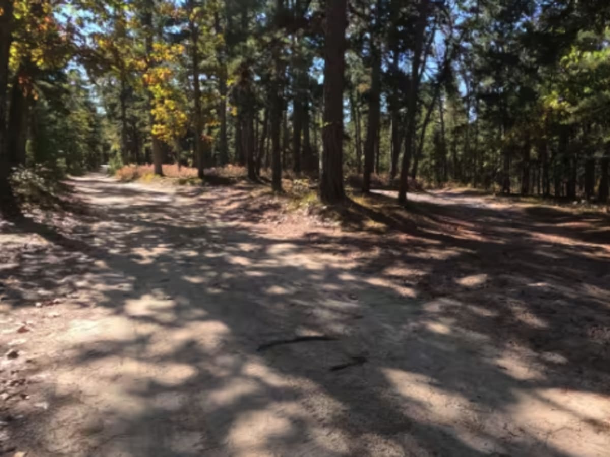 Washington Speedwell Road photo 5