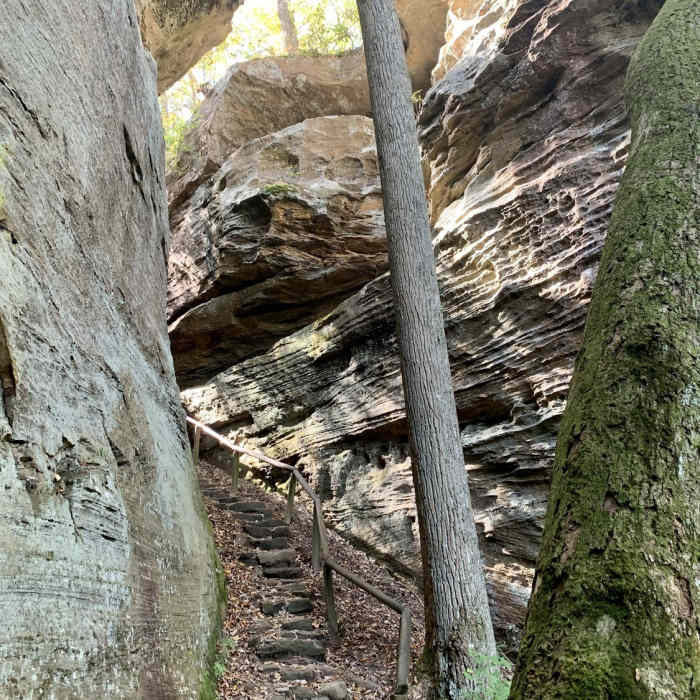 Near Battleship Rock Trail